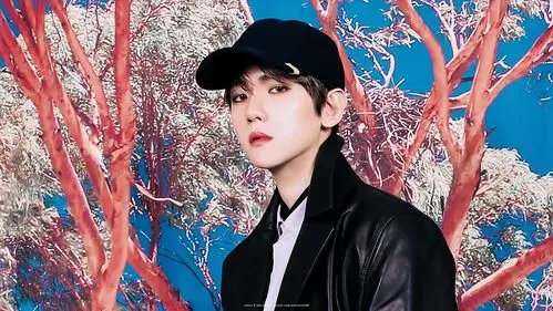 边伯贤预告修图 - 堆糖,美图壁纸兴趣社区