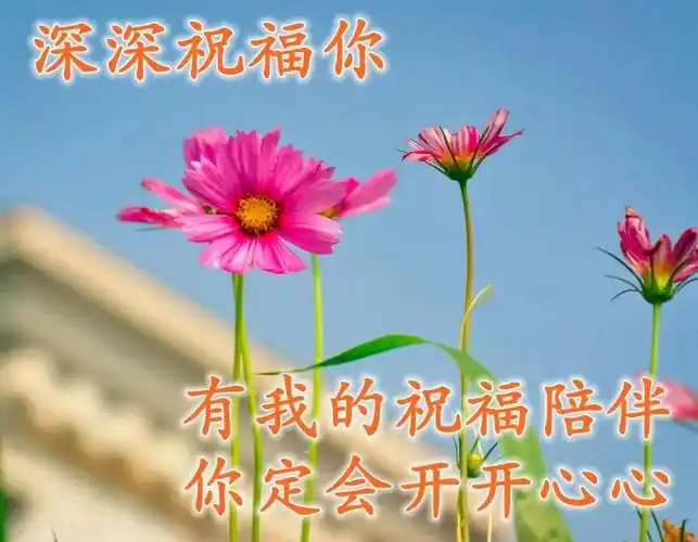 清晨美好正能量励志语录清新带字图片安康问候祝福图片大全