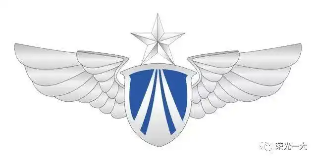 中国人民解放军空军的徽章中国人民解放军空军的臂章中国人民解放军