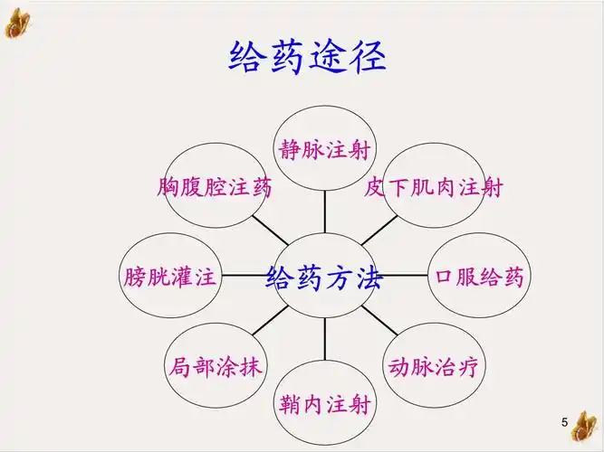 化疗给药途径课件_第5页