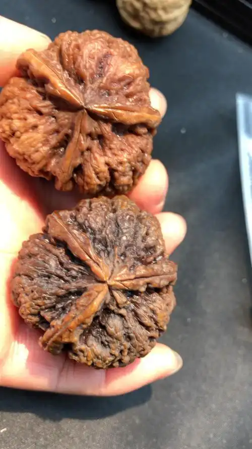 漂亮花中花纯野生核桃