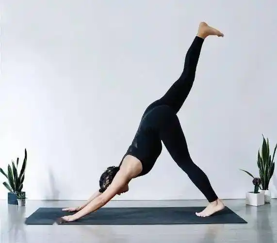 一套入门级晨练流瑜伽序列,初学者在家就能练!_动作