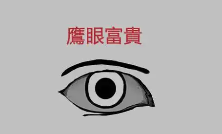 解析面相中的鹰眼