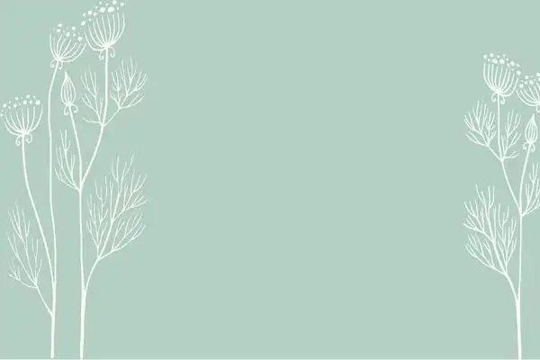 绿色透明叶子唯美ppt背景图片