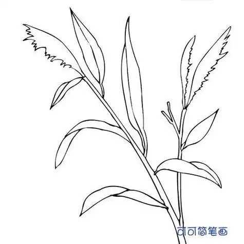 草简笔画草简笔画简单漂亮