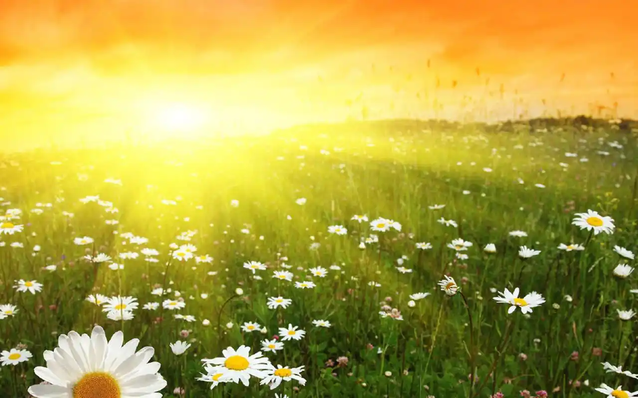 唯美风和日丽自然风光图片桌面壁纸