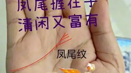 凤尾纹在手清闲又富有