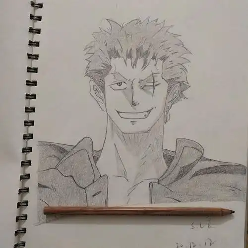 手绘#海贼王|动漫|动画片|应灵喜欢臭狗熊_临摹作品-站酷zcool