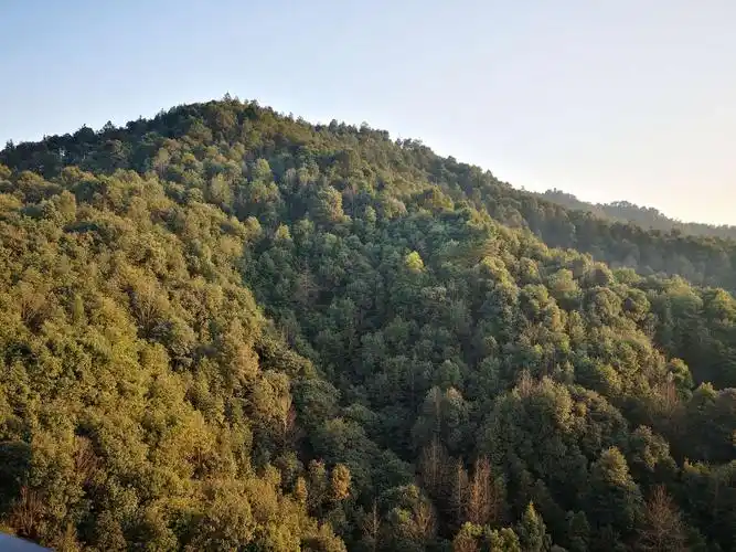 浏阳河边上一座山——梦回天马山