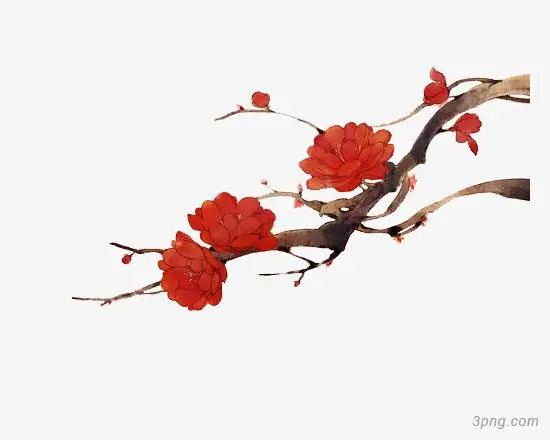 手绘古风梅花素材_手绘梅花图片铅笔画 - 零豆网