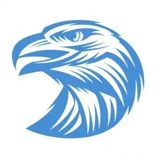 鹰头像墙贴雄鹰剪影贴画书房客厅沙发电视背景墙贴玻璃贴宿舍贴画