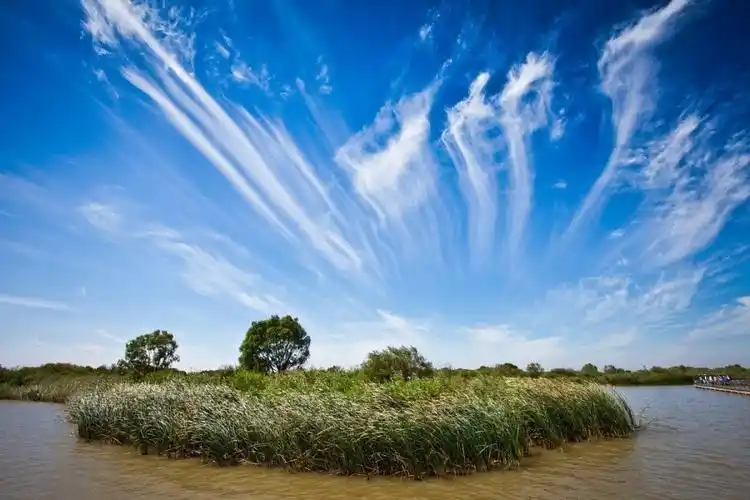 黄河口湿地生态旅游区