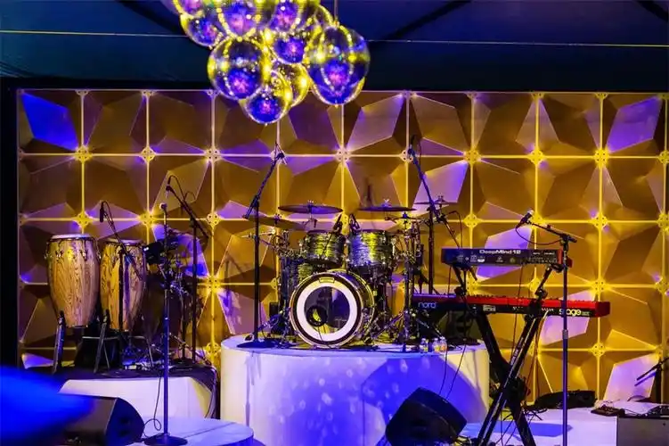 80年代的旱冰迪斯科风格派对活动唤醒了一代人的欢乐回忆