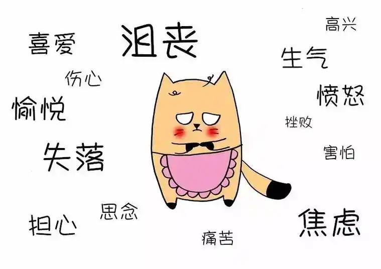 喵家大小事|处理孩子的负面情绪,比给ta快乐更重要