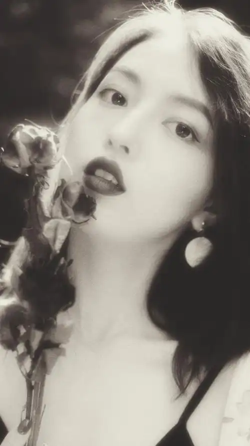 超美高清港风壁纸这样的暖图一定能温暖你