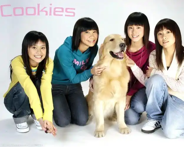 cookies组合壁纸桌面写真图片-自制1080x1920壁纸.