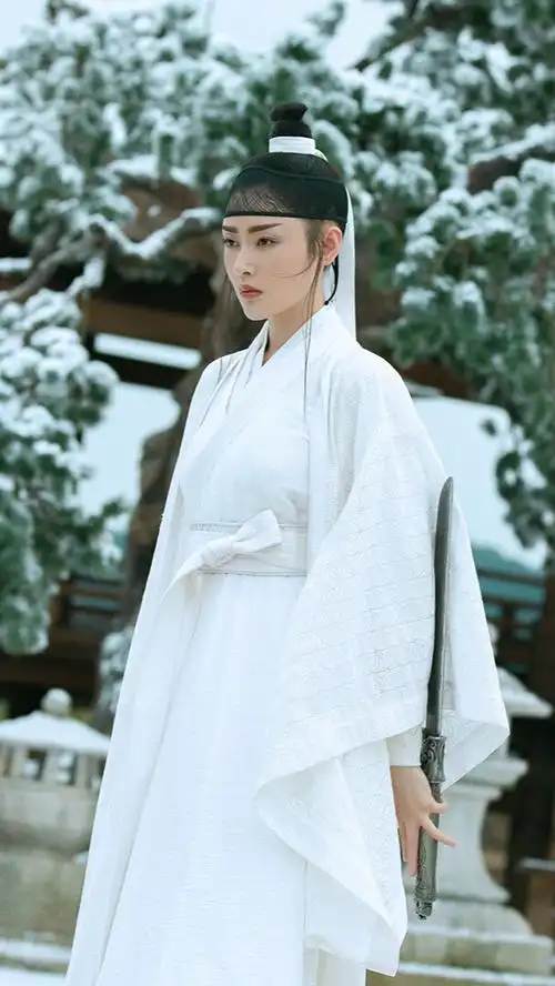 雪中悍刀行 南宫仆射 张天爱