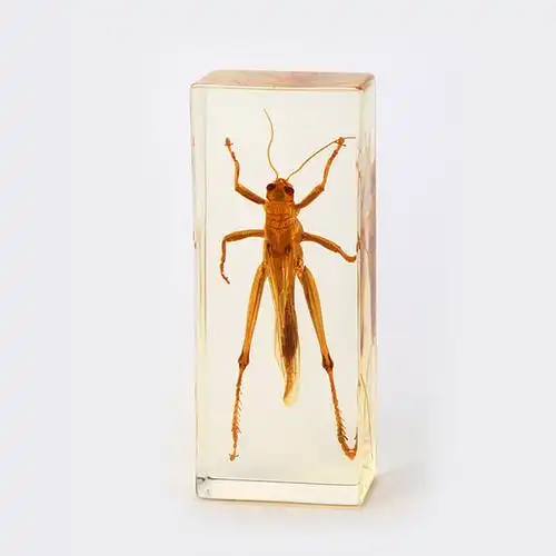 人造琥珀摆件创意工艺品螳螂蝎子昆虫辟邪同学会摆件