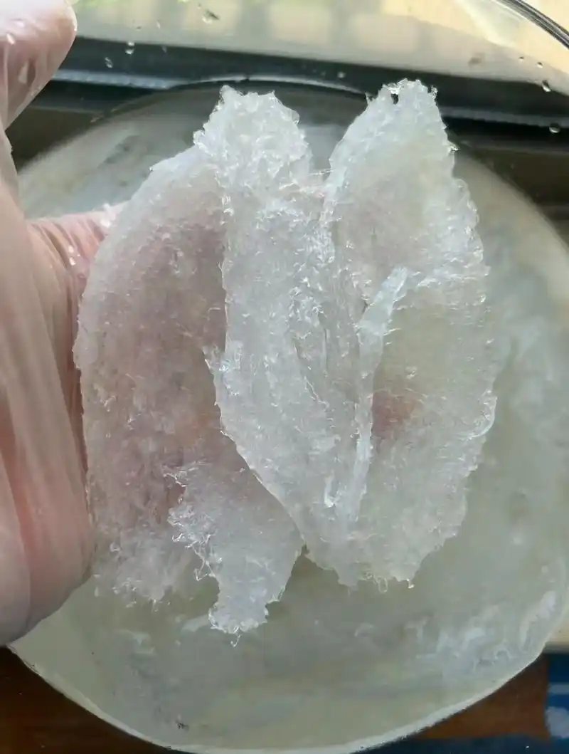 天然燕窝泡发后晶莹剔透,丝丝分明7015  让你们都 - 抖音