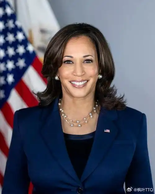 印度裔美国人,现任副总统#哈里斯#有望成为民主党总统候选人.