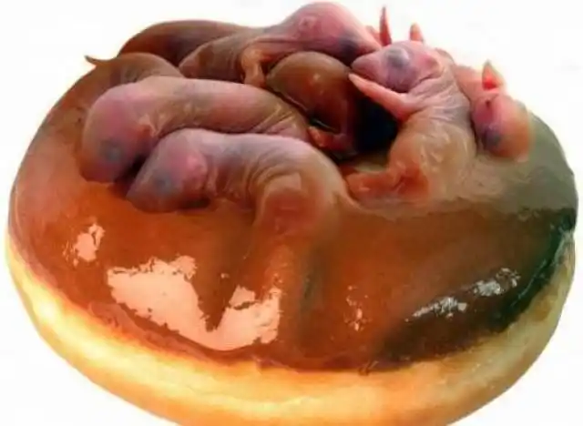 天下美食 > 世界十大恶心美食 美食是全球各国的人都追求的东西,可是