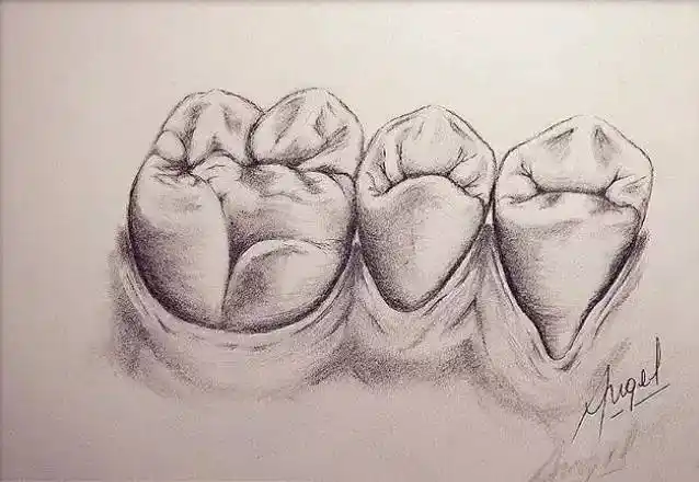 你有没有也想拿起笔来,画出你对牙齿解剖形态的理解但画完了千完别