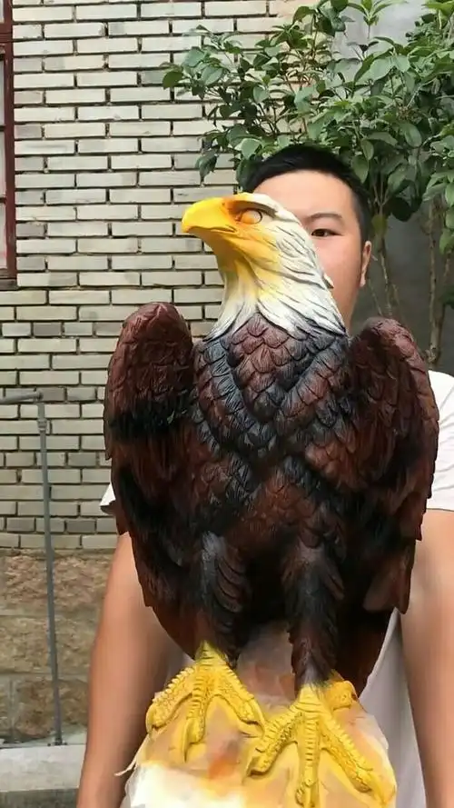 今天我带着我的宠物老鹰来看大家了,它长得真好看!