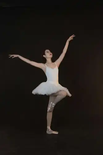 一只小天鹅的舞姿