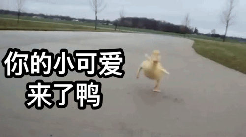 500_278gif 动态图 动图