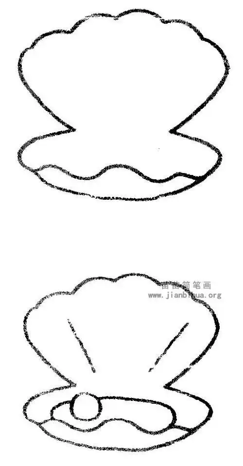 河蚌简笔画怎么画