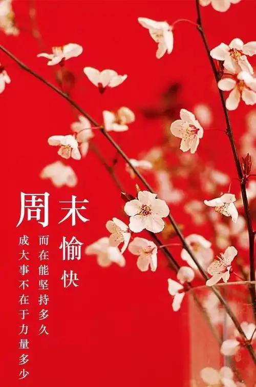 星期天周末早上好问候图片句子大全微信群发早安祝福语录群发的早安