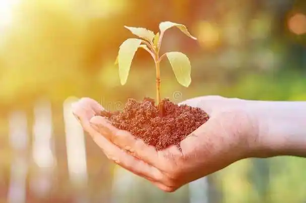 3万人被骗,受害者名单包含许多政商