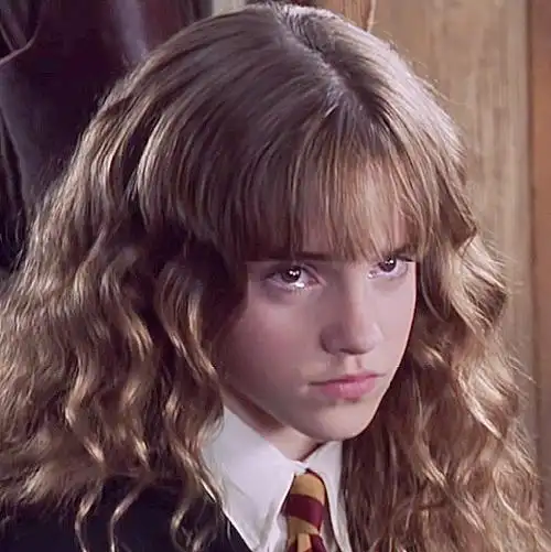 hp头像 赫敏·格兰杰
