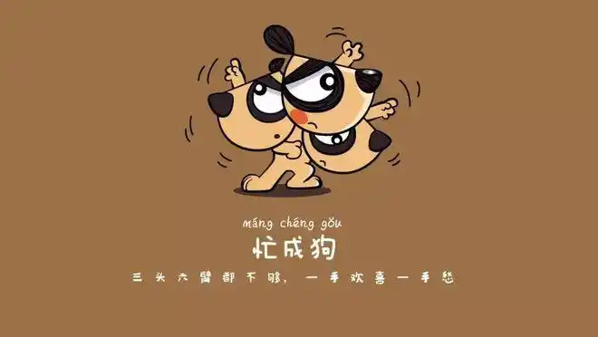 别人家的圣诞节在拉丁区法国人家过圣诞节是一种怎样的体验