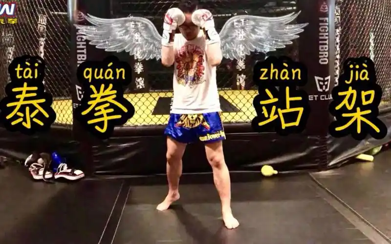 泰有绝招288泰拳标准站架深入解析