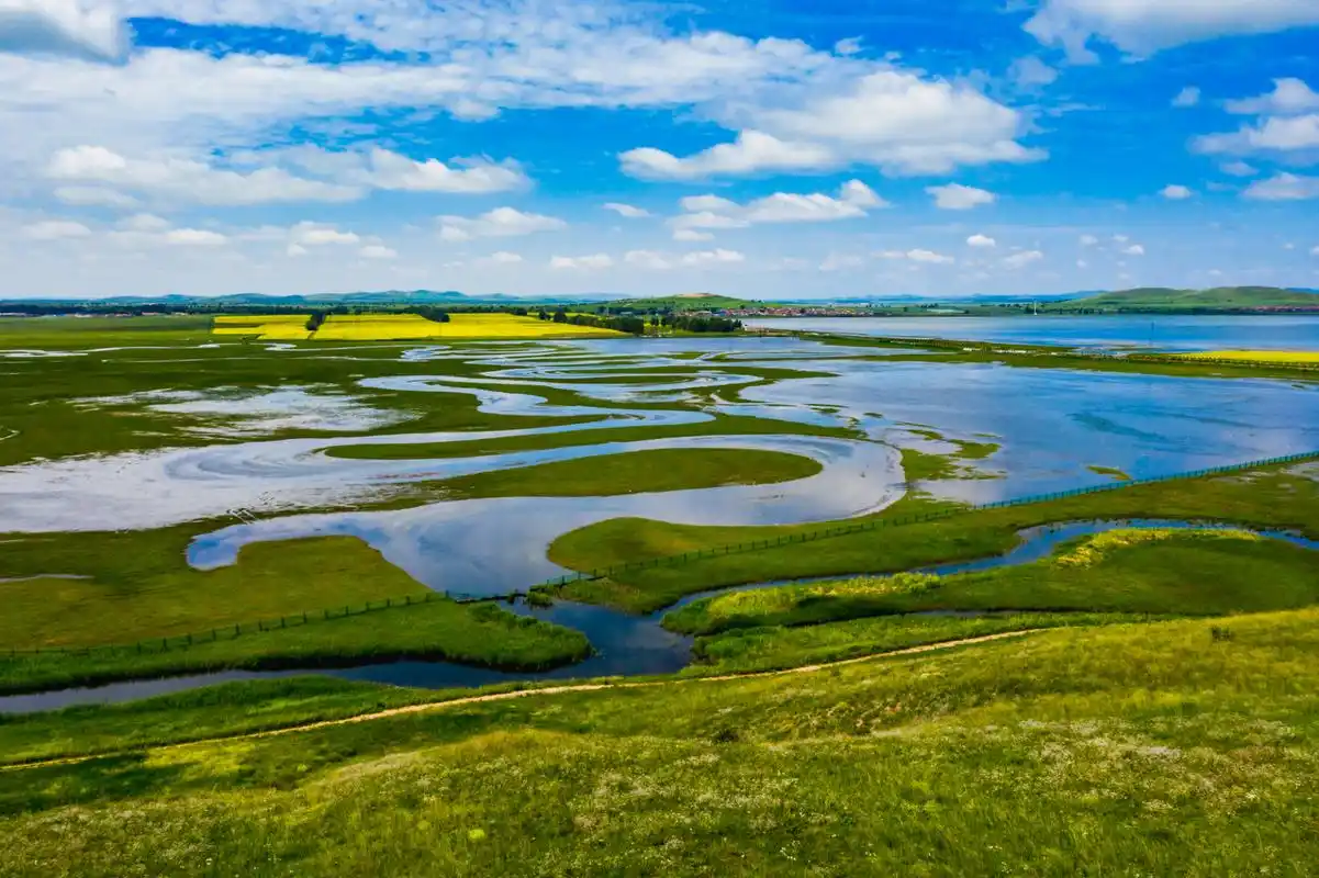 【#湿地草原神韵沽源#坝上草原,中国醉美的初夏】坝上草原位于内蒙古