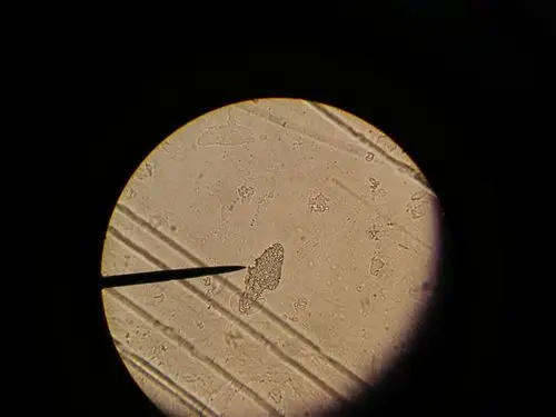 你手机里最舍不得删的那张照片有什么故事?