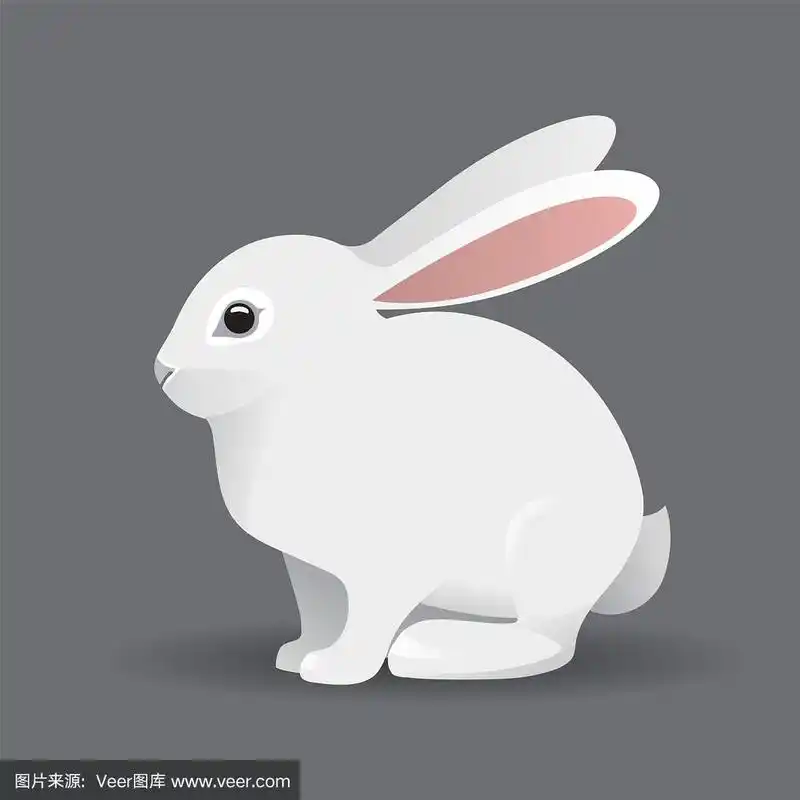 可爱的小白兔卡通