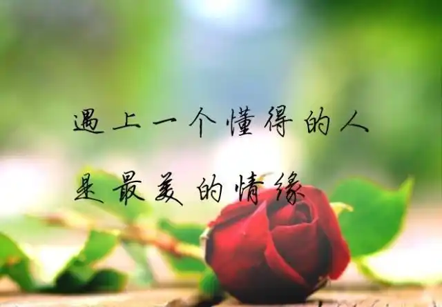 深爱一个人放不下惦记一生