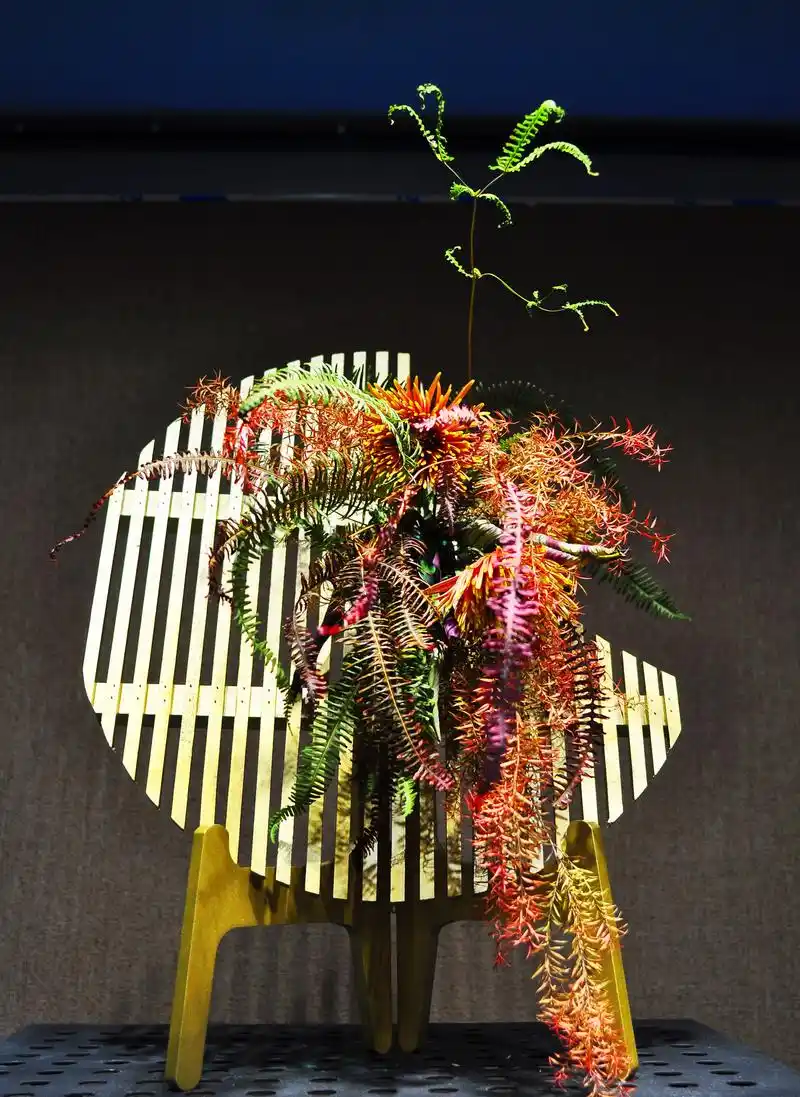 深圳2020菊花展 -- 部分插花作品展 这组图片是2020 - 抖音