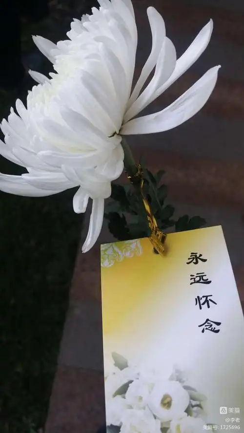 表情一路走好表情包一路走好的哀悼句子杭州老婆孩子一路走好你昨沉痛