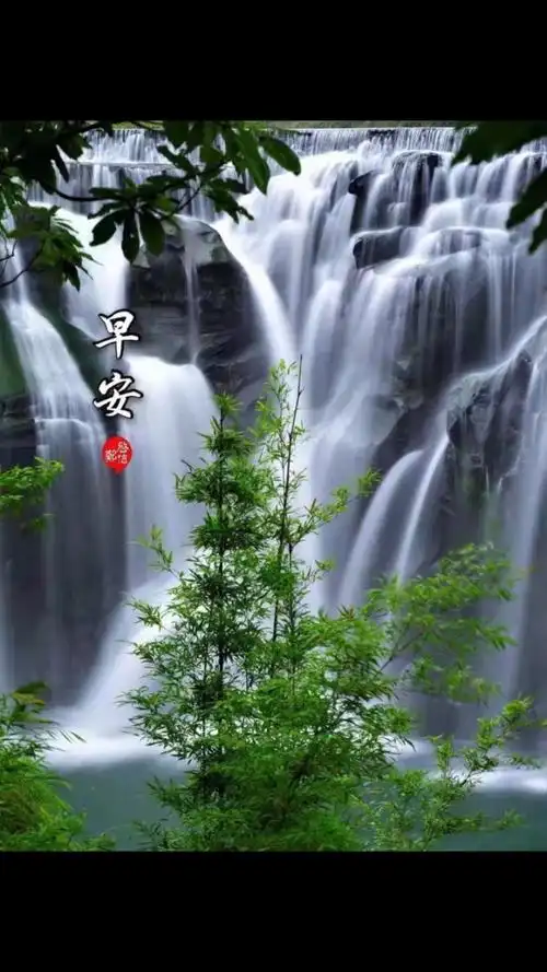 亲们早上好,假期快乐