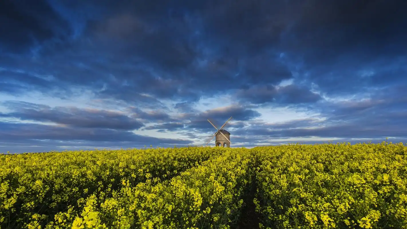 油菜花田园优美自然风光图片桌面壁纸-风景壁纸-手机壁纸下载-美桌网