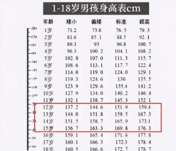 男生的身高将在什么阶段定型?原来是这个时期,家长要做好准备