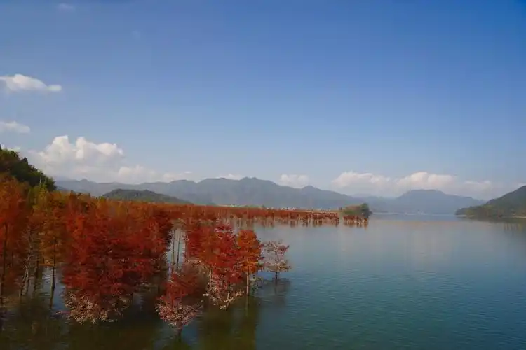 爱上长潭水库的那一抹红.