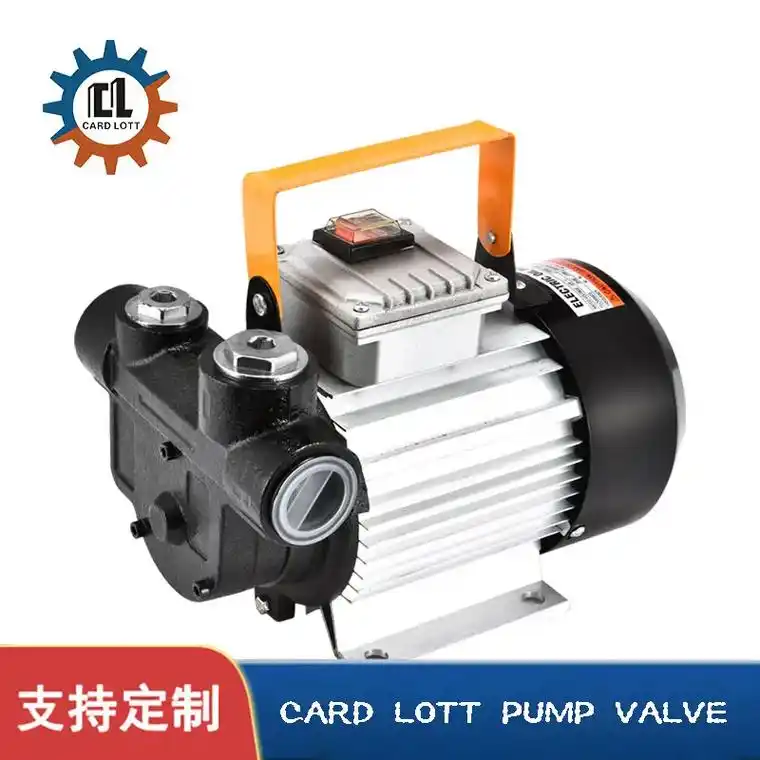 进口电动小型抽油泵.电动抽油泵12v24v220v大功率自吸 - 抖音