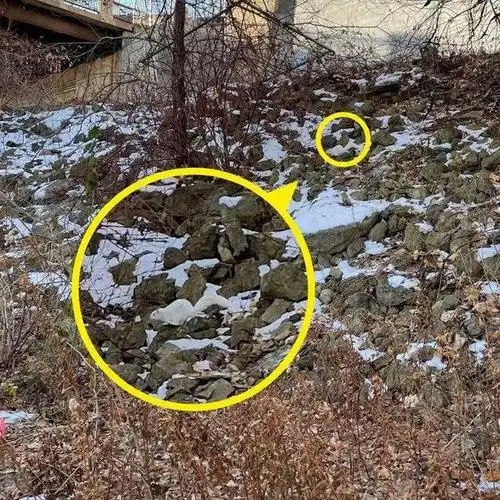 照片里有只蝴蝶8.照片里有只狗7.找到隐藏在盒子堆中的猫6.