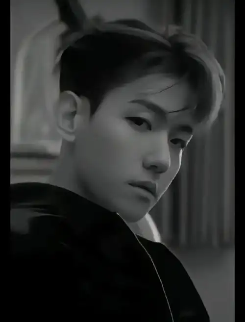 边伯贤入住汉南洞unvillage