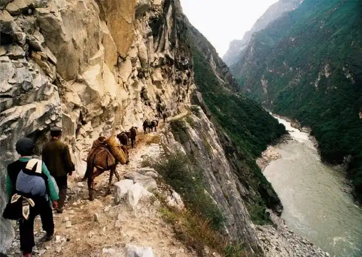 为什么说茶马古道是西南各民族的生命线?