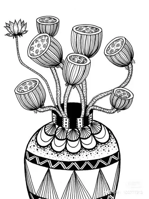 50种创意线描用简单的笔画出超精美的画作颜值好看又耐看